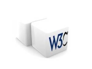 w3C Logo
